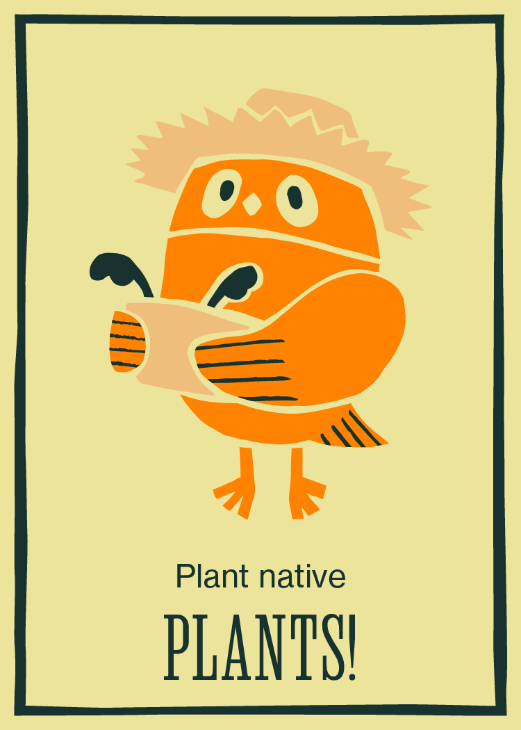 Card 8: Plant native plants, illustration of owl as farmer.