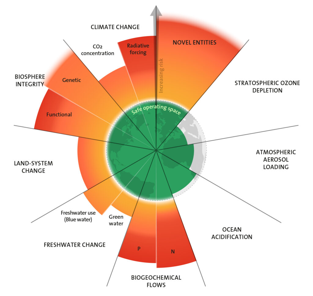Biogeochemical Flows Infographic